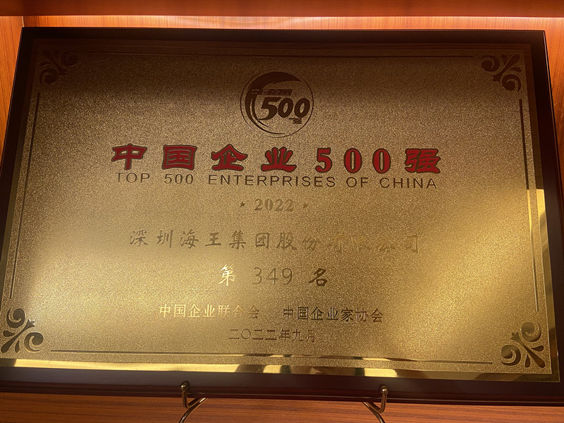 中國企業(yè)500強(qiáng) 第349名 獎(jiǎng)牌.jpg